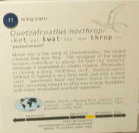  11-Quetzalcoatlus northropi (sign).jpg 